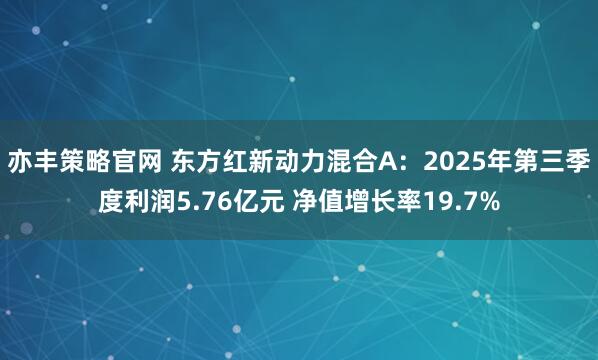 亦丰策略官网 东方红新动力混合A：2025年第三季度利润5.76亿元 净值增长率19.7%