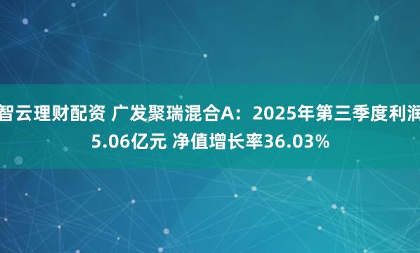智云理财配资 广发聚瑞混合A：2025年第三季度利润5.06亿元 净值增长率36.03%