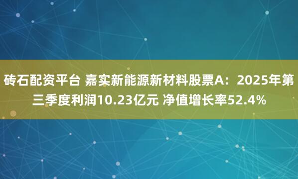 砖石配资平台 嘉实新能源新材料股票A：2025年第三季度利润10.23亿元 净值增长率52.4%